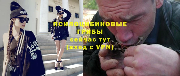 ПСИЛОЦИБИНОВЫЕ ГРИБЫ Белоозёрский