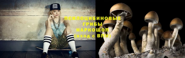 винт Слюдянка