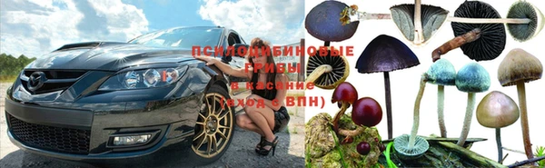 герыч Снежногорск