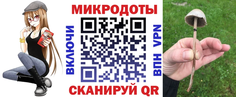 Галлюциногенные грибы прущие грибы  как найти закладки  Плёс 
